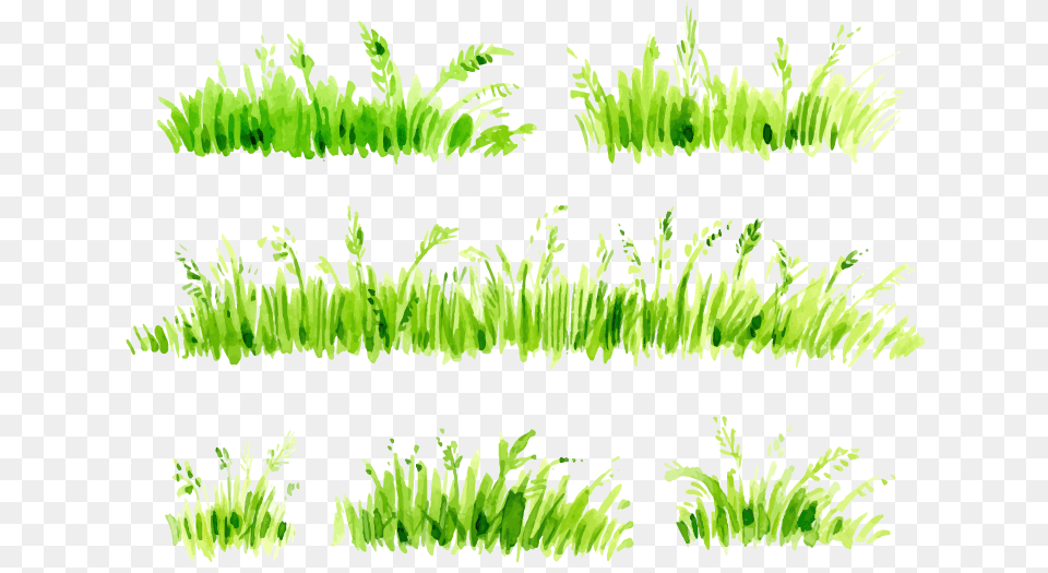 Grass Painting Grass Watercolor, Green, Moss, Plant, Vegetation Free Transparent Png