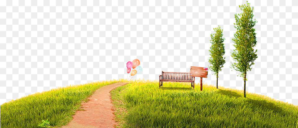 Grass Park Background, Bench, Plant, Furniture, Path Png Image