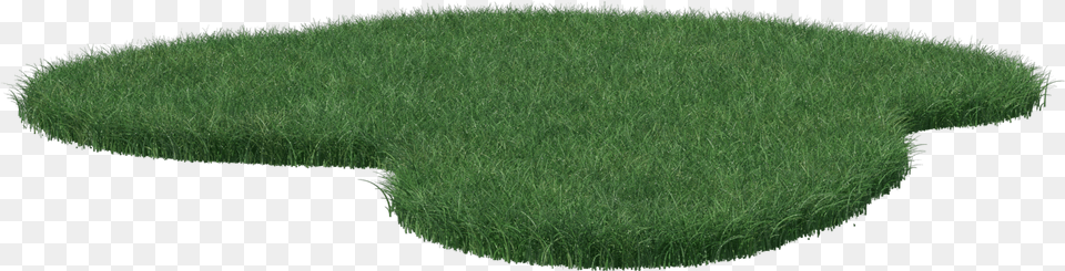 Grass Patch, Plant, Home Decor, Moss, Lawn Free Transparent Png