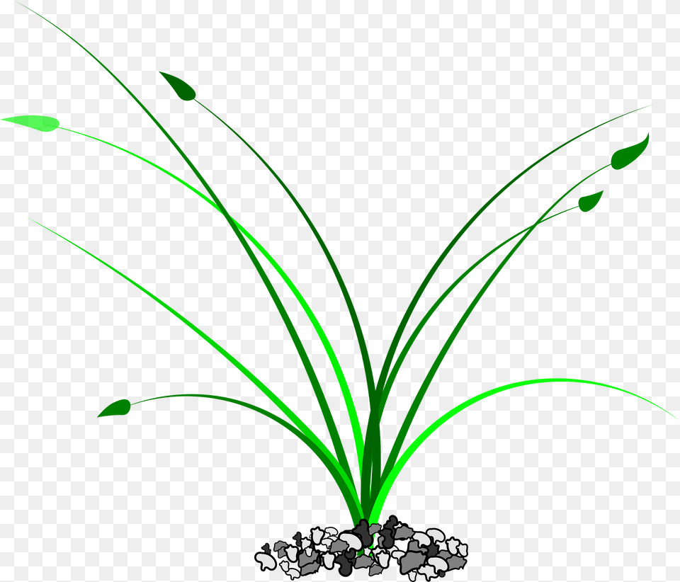 Grass Patch Of Grass Clipart, Art, Floral Design, Graphics, Green Png Image