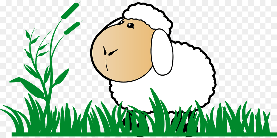 Grass Sheep Stand Watch Cartoon Green White Clipart Sheep, Plant, Animal, Mammal, Rabbit Free Transparent Png