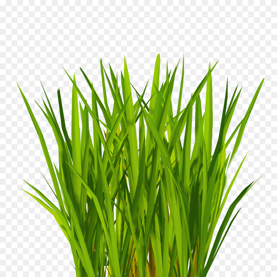 Grass Silhouette Wicked Artificial Grass Artificial Grass, Green, Plant, Vegetation, Lawn Free Png Download