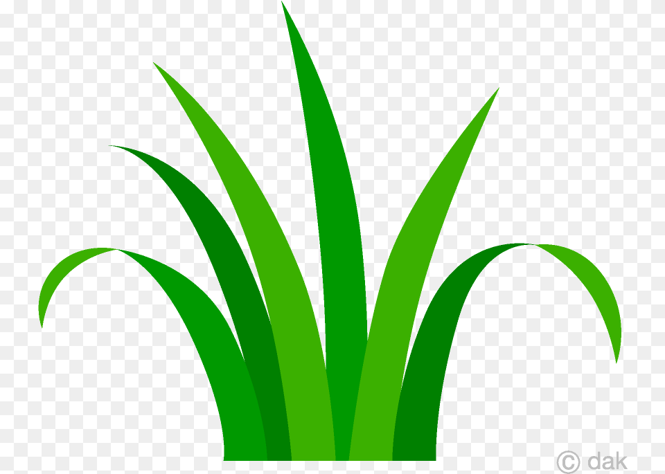 Grass Simple Clipart Free Picture Transparent Grass Clipart, Green, Plant, Vegetation, Leaf Png