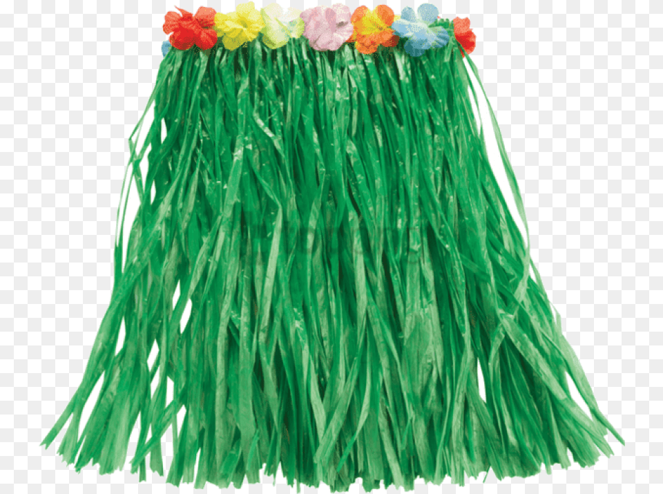 Grass Skirt Background Grass Skirt Clipart, Flower, Flower Arrangement, Plant, Clothing Free Png