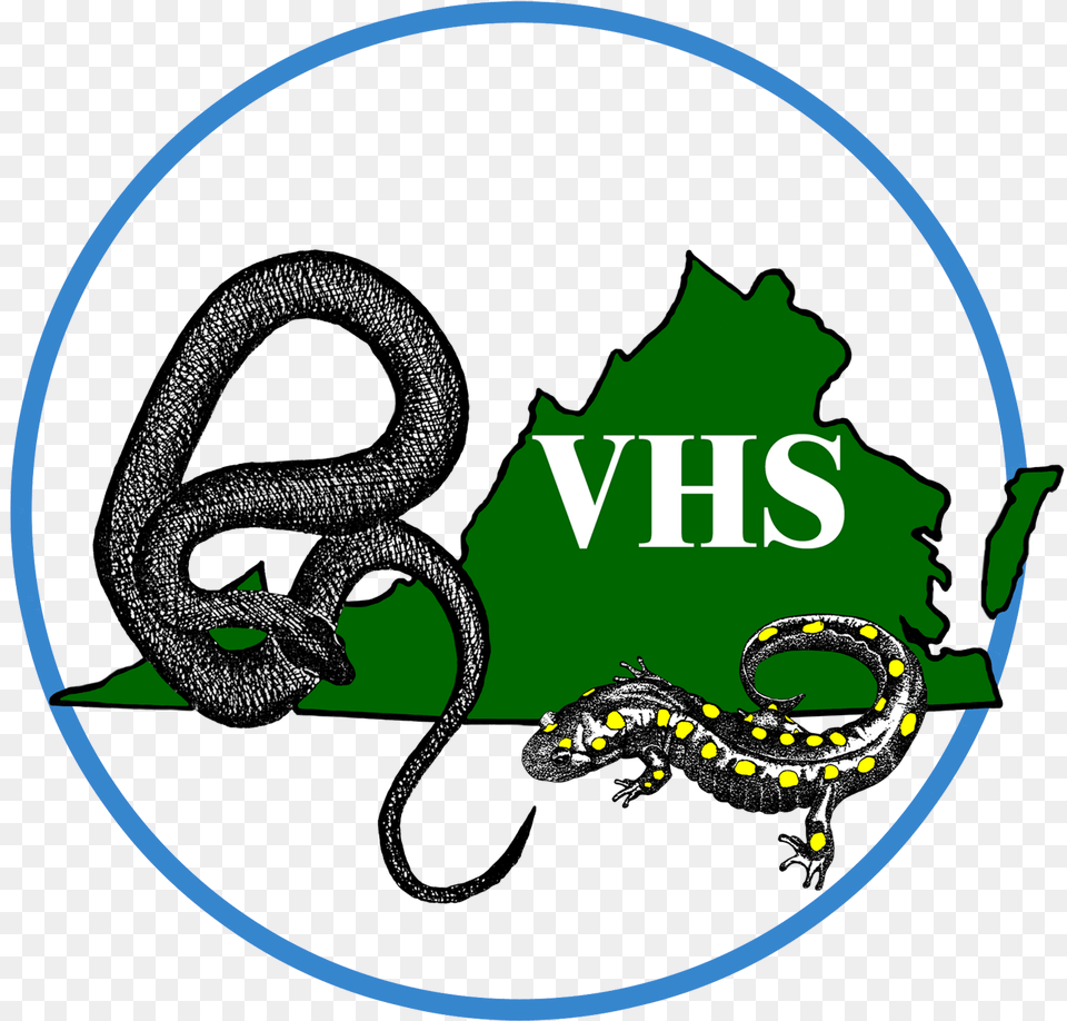 Grass Snake Virginia Herp Society, Animal, Amphibian, Salamander, Wildlife Free Transparent Png