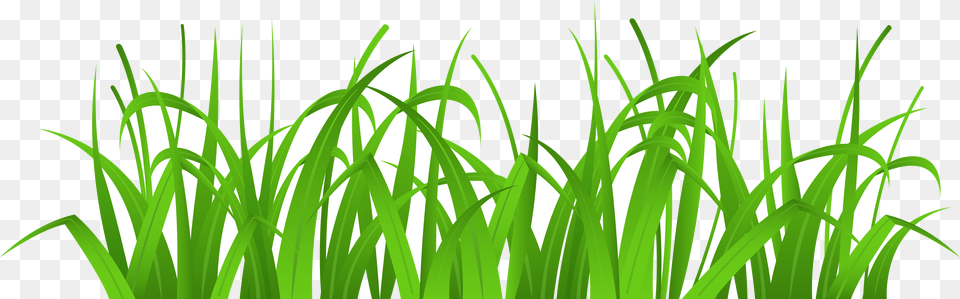Grass Tallc Clipart Collection Transparent Grass Clip Art, Green, Plant, Vegetation, Lawn Free Png Download