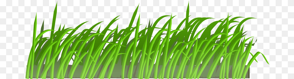 Grass Texture, Green, Plant, Vegetation, Lawn Free Png