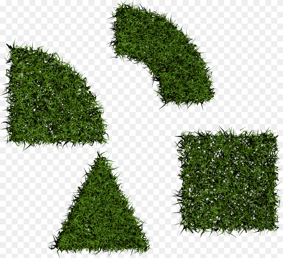 Grass Top View Clipart Clip Art, Green, Moss, Plant, Text Free Png