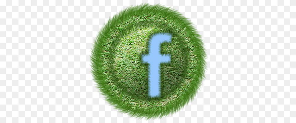 Grass Twitter Logo Facebook Icon, Green, Plant, Water, Moss Free Png
