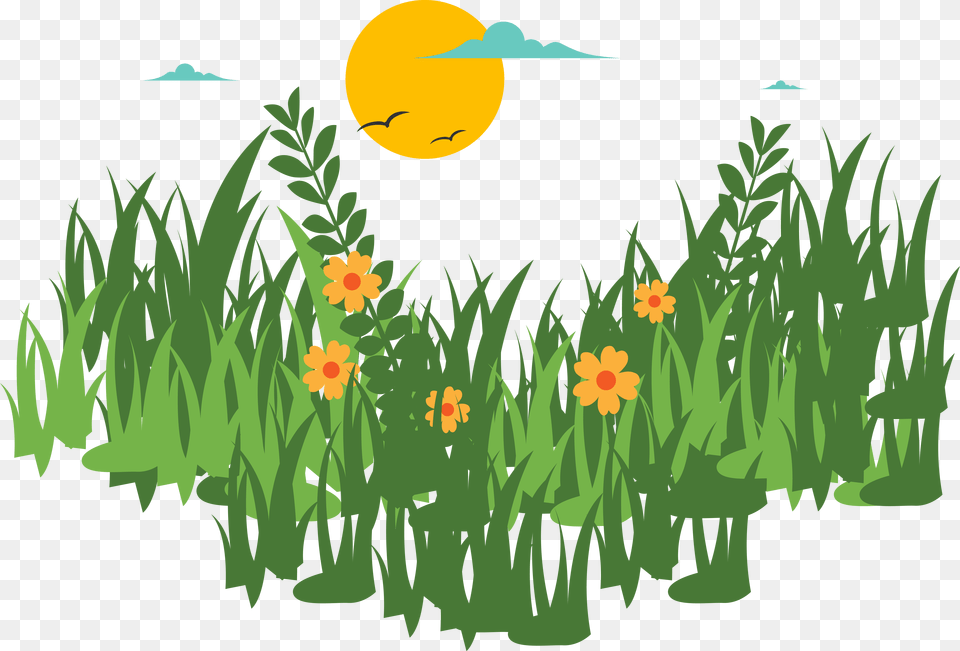 Grass Vector, Vegetation, Daffodil, Flower, Plant Png Image