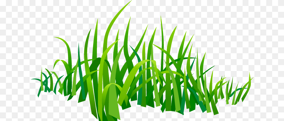 Grass Vector, Green, Plant, Aquatic, Water Free Transparent Png