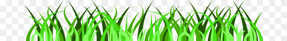 Grass Vector, Green, Lawn, Plant, Vegetation Free Transparent Png