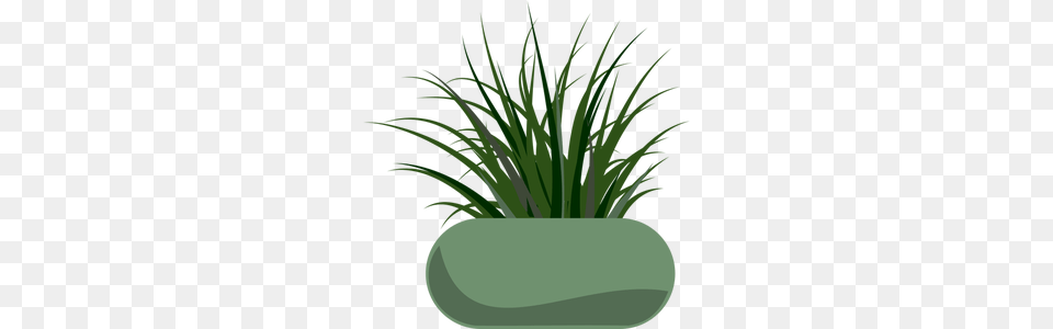 Grass Vector Art, Jar, Vase, Pottery, Green Free Png