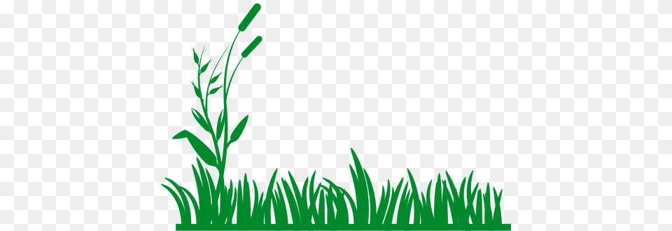 Grass Vector Background Black And White Grass, Moss, Tree, Green, Plant Free Png Download