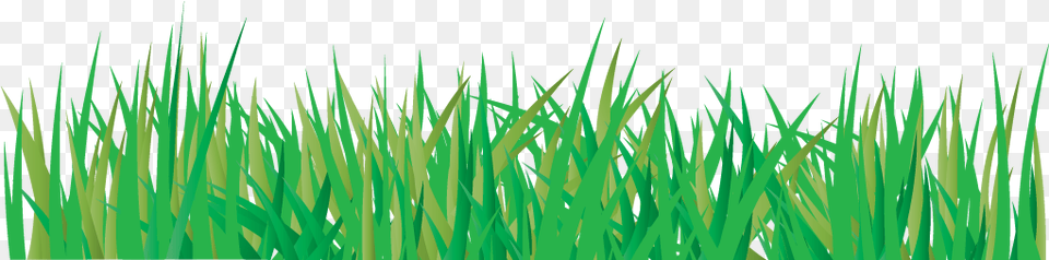 Grass Vector Drawing, Green, Lawn, Plant, Vegetation Free Transparent Png