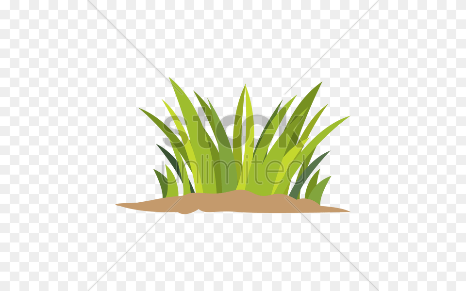 Grass Vector Plant, Food, Leek, Potted Plant Png Image