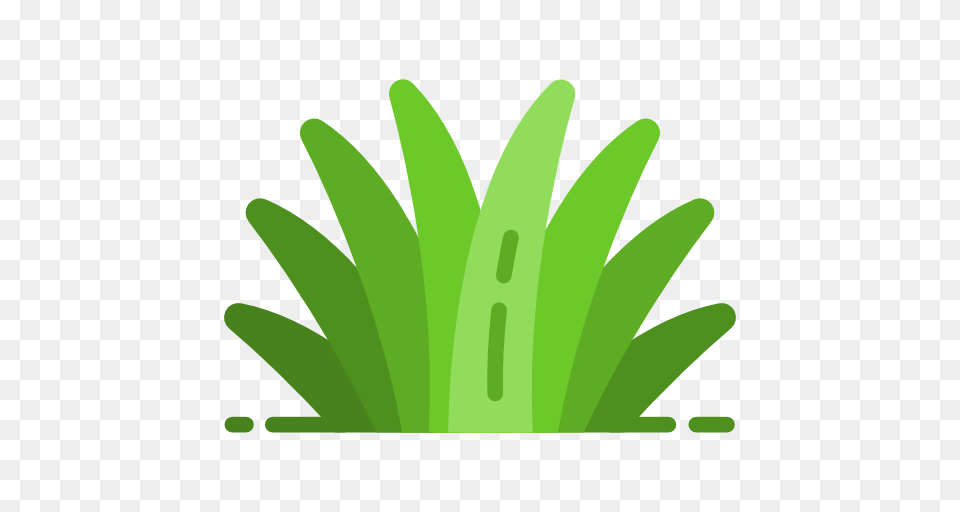 Grass Vector Silhouette, Green, Herbal, Herbs, Leaf Free Png Download