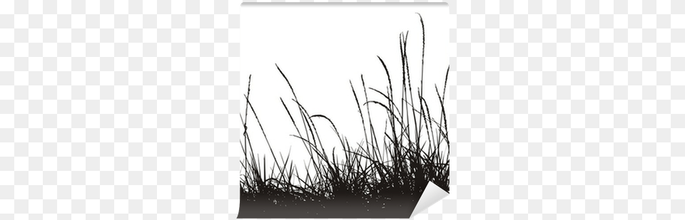 Grass Vector Silhouette Self Adhesive Wall Mural Grass Vector, Plant, Reed, Agropyron Free Png Download