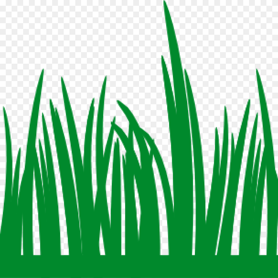 Grass Vector Transparent Image, Green, Plant, Vegetation Free Png