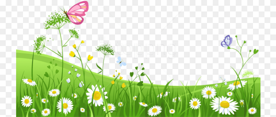 Grass With Butterfliespicture Images Transparent Green Grass With Flower Background, Grassland, Plant, Daisy, Field Free Png Download
