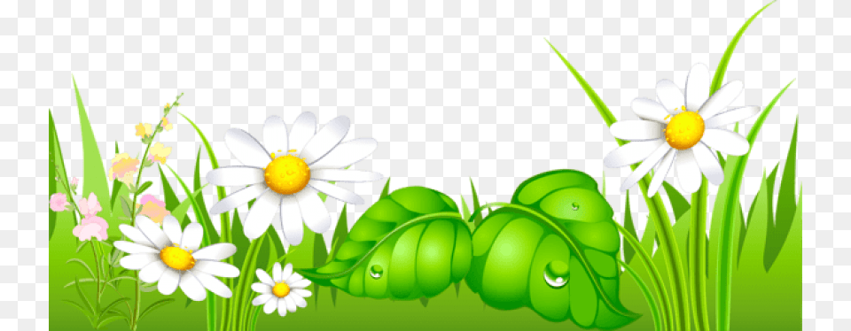 Grass With Daisies Ground Images Happy New Year 2019 Odia, Daisy, Flower, Green, Plant Png Image