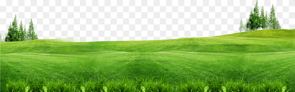 Grass With Flower Background Grass Background, Field, Plant, Outdoors, Nature Free Png Download
