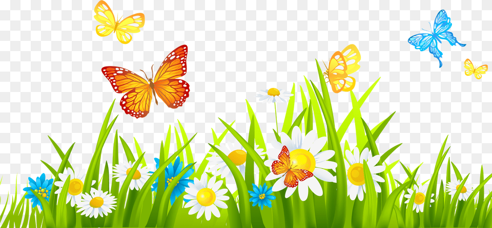 Grass With Flower Clipart, Daisy, Plant, Nature, Outdoors Png Image