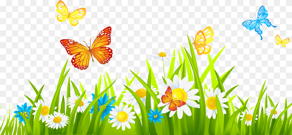 Grass With Flower Clipart Flowers With Grass, Daisy, Plant, Nature, Outdoors Free Transparent Png