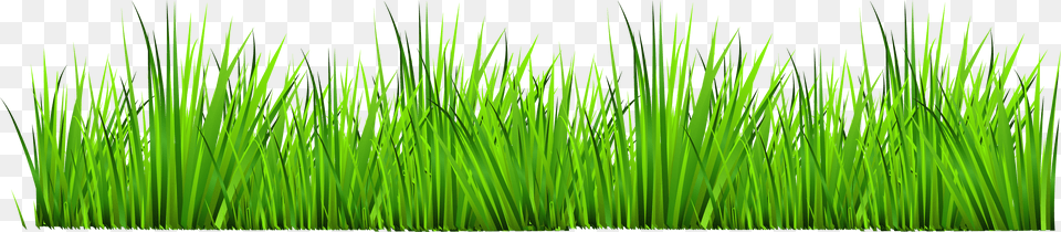 Grass With Flowers Clipart Grass Clipart, Green, Lawn, Plant, Vegetation Png Image