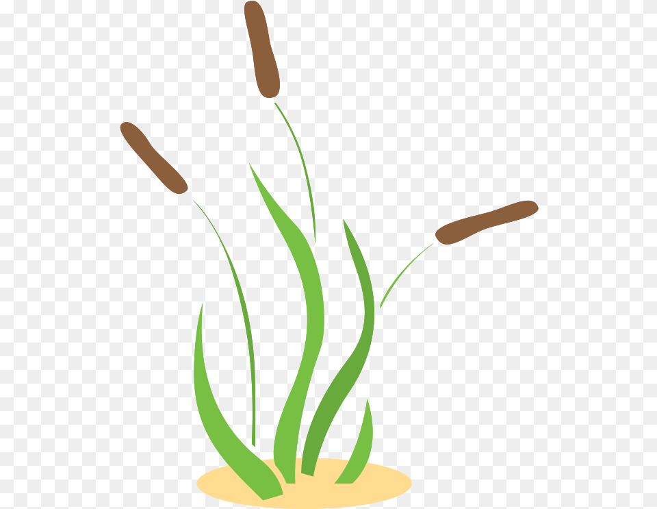Grass With Transparent Background Vertical, Flower, Flower Arrangement, Ikebana, Plant Png