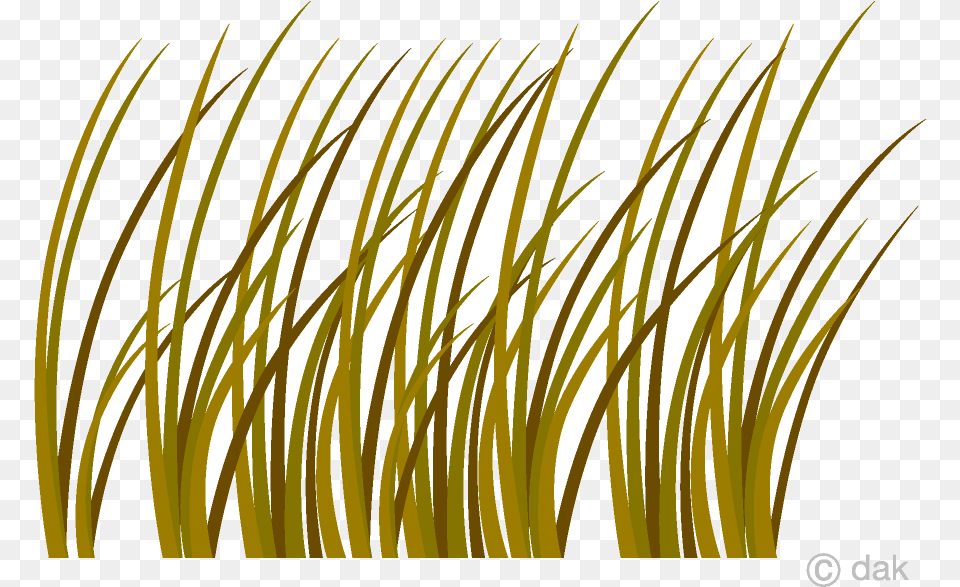 Grass Withered Clipart Picture Transparent Withered Grass Clipart, Lighting, Plant, Nature, Night Free Png
