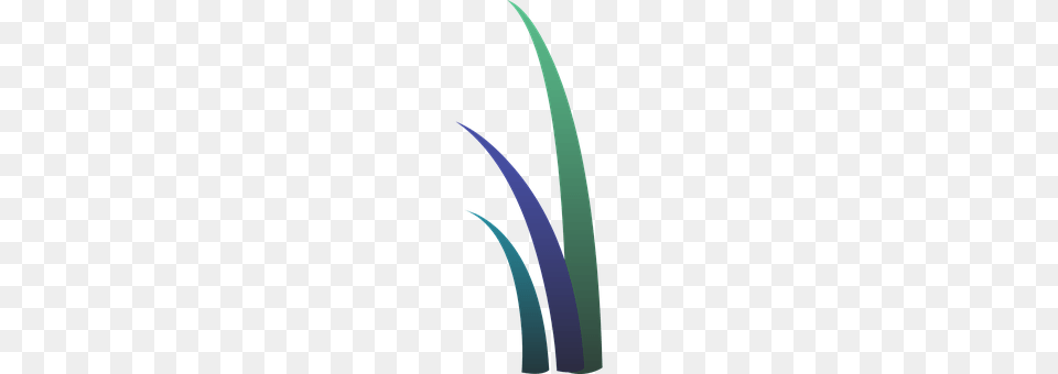 Grasses Bow, Weapon, Art Png Image