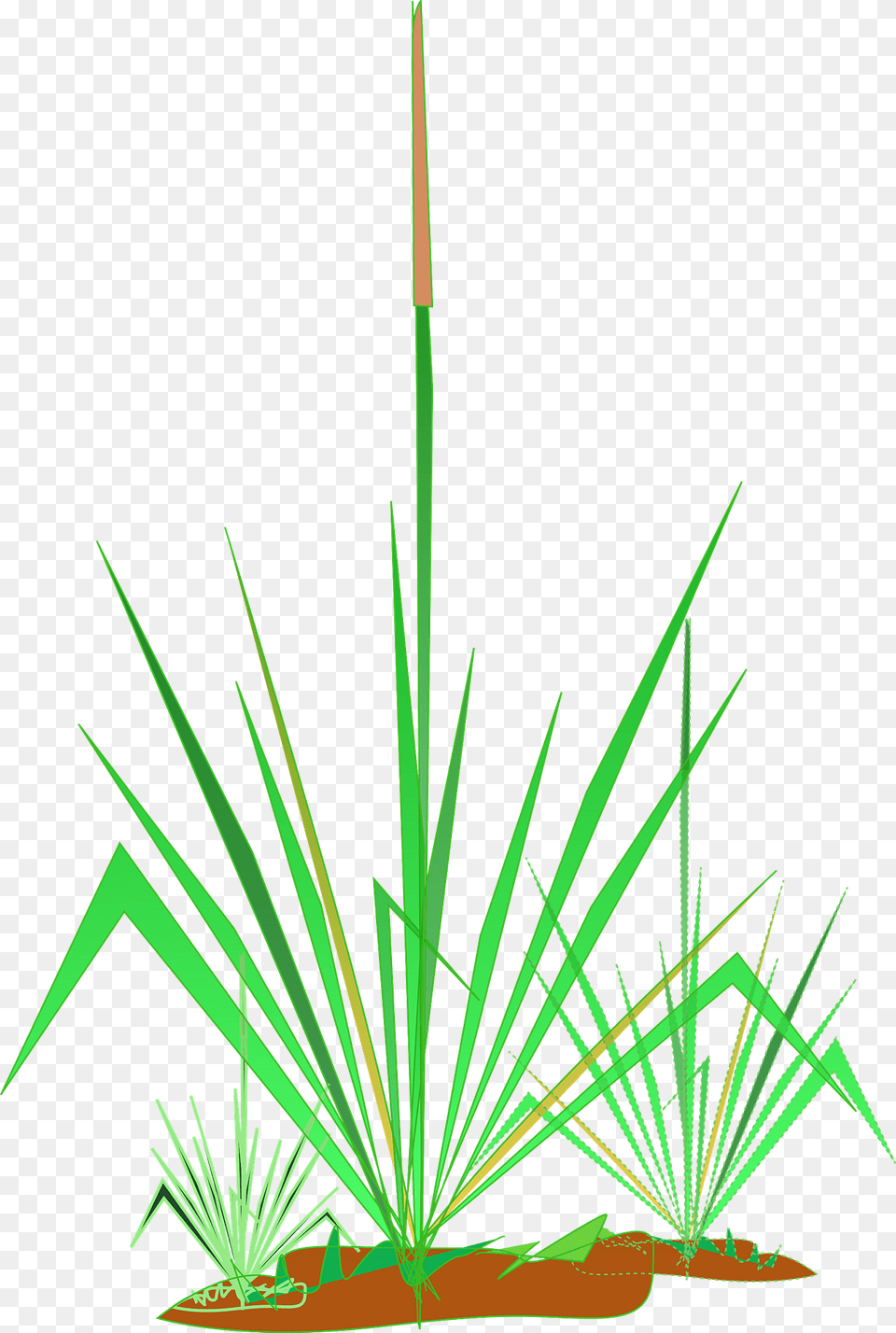 Grasses Clipart, Grass, Plant, Agropyron Free Transparent Png