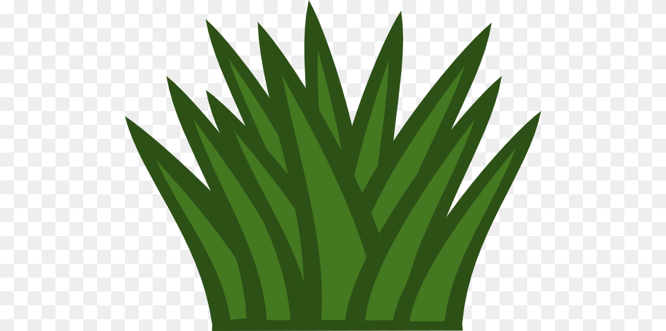 Grasses Drawing Grass Plain Frames Illustrations Hd Images, Green, Leaf, Plant, Aloe Free Transparent Png