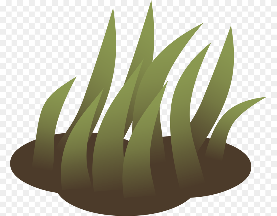 Grasses Lawn Landscape Design Computer Icons Vetiver, Nature, Night, Outdoors, Grass Png Image