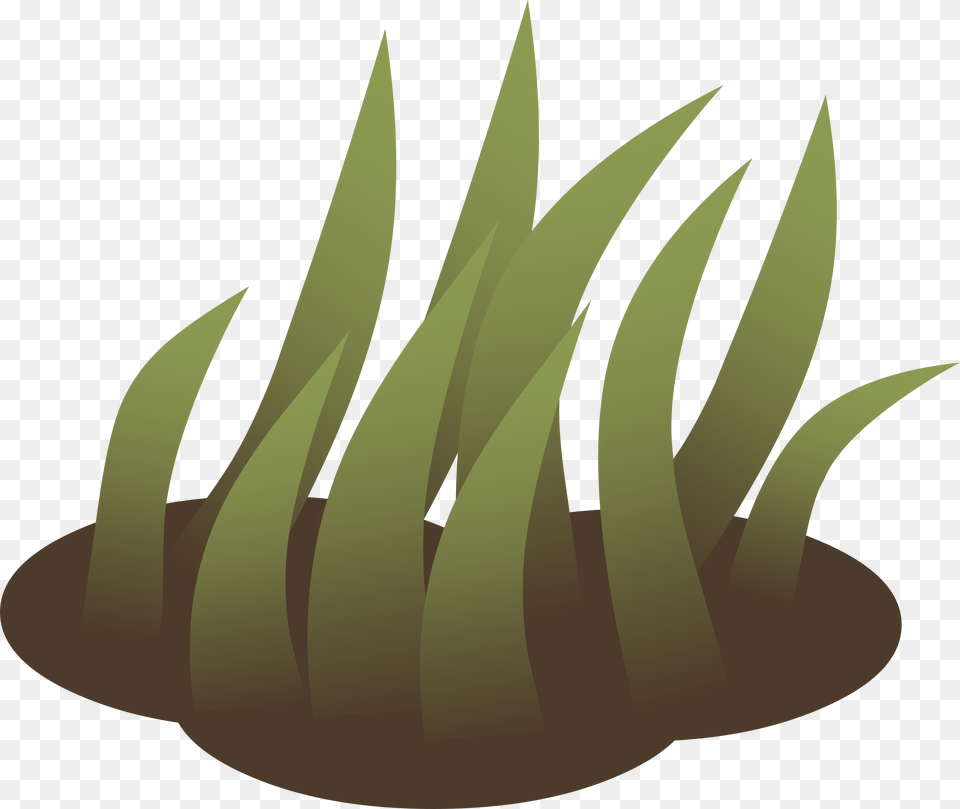 Grasses Lawn Landscape Design Computer Icons Vetiver Portable Network Graphics, Grass, Nature, Night, Outdoors Png