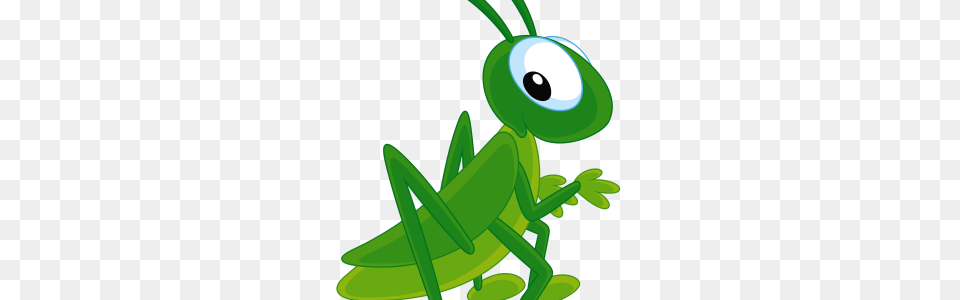 Grasshopper, Animal, Insect, Invertebrate, Bulldozer Png