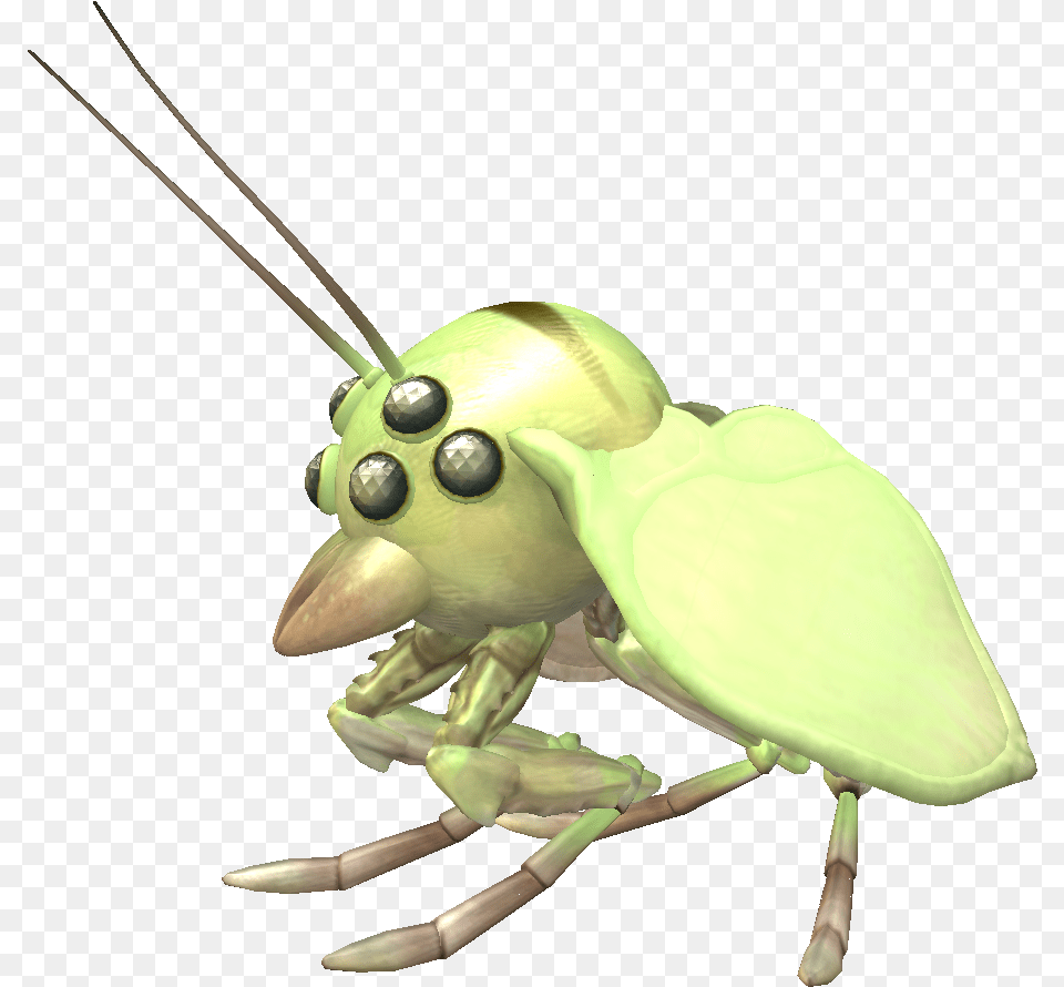 Grasshopper, Animal, Cricket Insect, Insect, Invertebrate Free Transparent Png