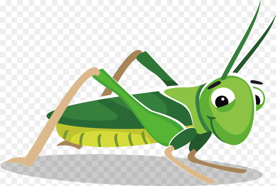 Grasshopper At Getdrawings Com Free For Personal Grasshopper Clipart, Animal, Invertebrate, Insect, Grass Png