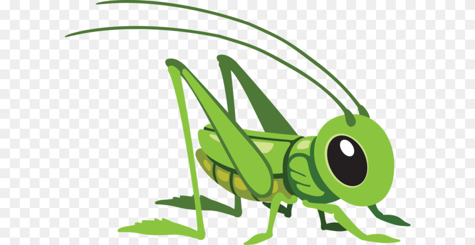 Grasshopper Cartoon Grasshopper, Animal, Insect, Invertebrate, Cricket Insect Free Png Download