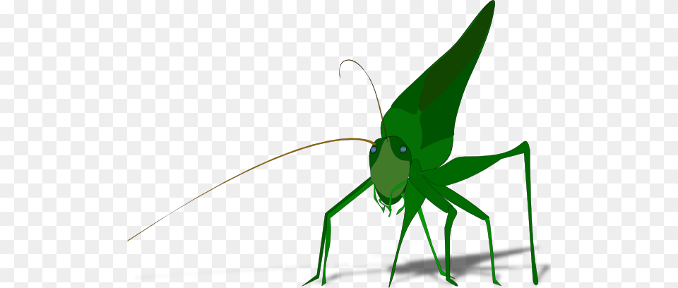 Grasshopper Clip Art Free Vector, Animal, Insect, Invertebrate, Bow Png