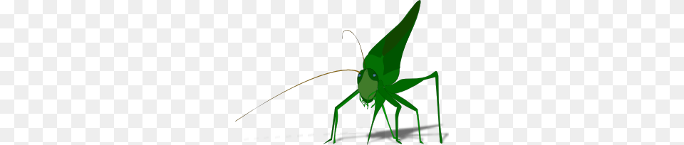 Grasshopper Clip Art Vector, Animal, Insect, Invertebrate, Cricket Insect Free Png Download