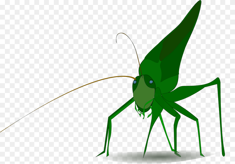 Grasshopper Clipart, Animal, Cricket Insect, Insect, Invertebrate Free Png Download