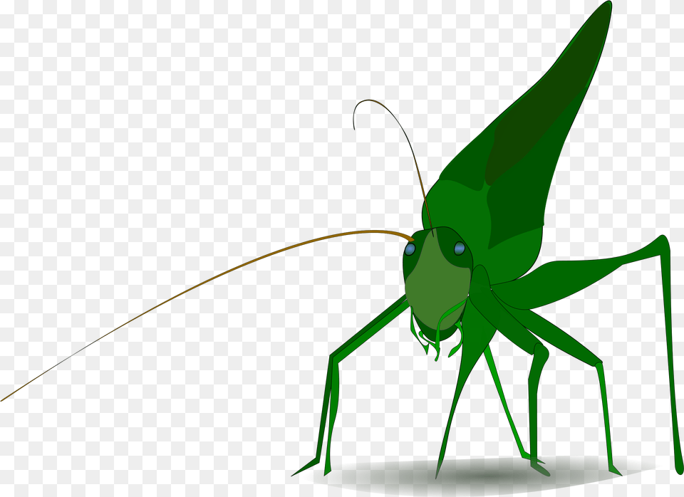 Grasshopper Clipart, Animal, Cricket Insect, Insect, Invertebrate Free Transparent Png