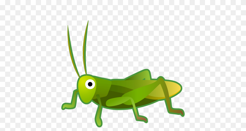 Grasshopper Clipart Grillo, Animal, Insect, Invertebrate, Fish Png