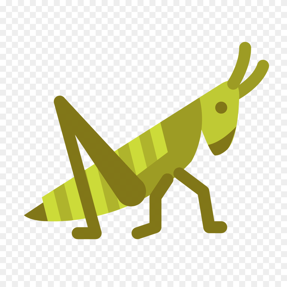 Grasshopper Clipart Head, Animal, Insect, Invertebrate, Fish Png Image