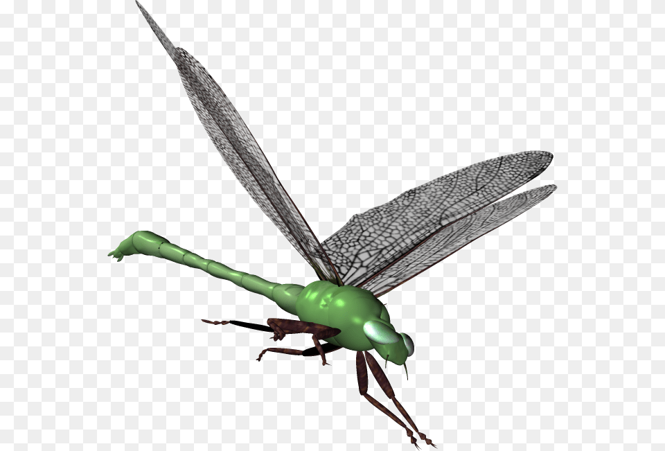 Grasshopper Clipart Serangga Net Winged Insects, Animal, Dragonfly, Insect, Invertebrate Free Transparent Png