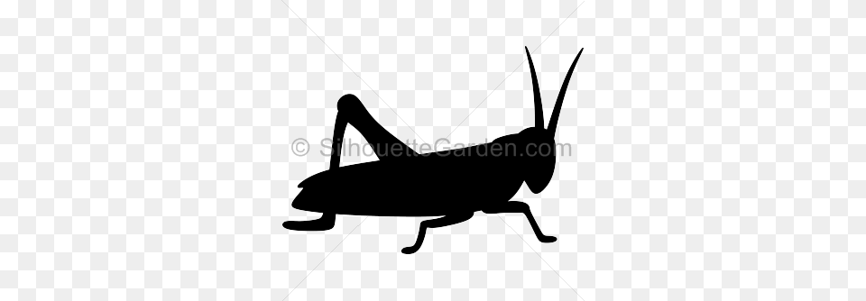 Grasshopper Clipart Silhouette, Animal, Insect, Invertebrate, Smoke Pipe Free Png