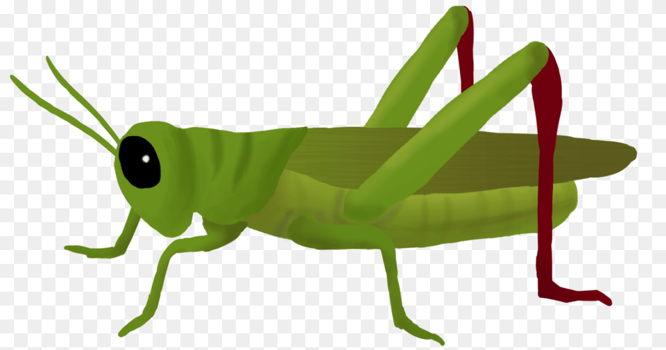 Grasshopper Clipart Vector Clipart, Animal, Insect, Invertebrate, Person Free Png