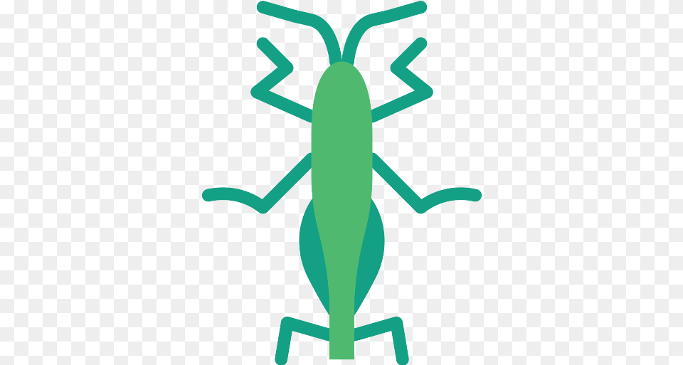 Grasshopper Icon Agriculture, Animal, Smoke Pipe, Cross, Symbol Free Transparent Png